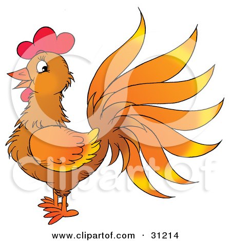 Clipart Illustration of an Orange Rooster With Gradient Feathers, Facing To The Left by Alex Bannykh