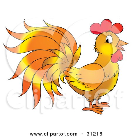 Clipart Illustration of a Rooster With Orange And Yellow Feathers, Standing In Profile by Alex Bannykh