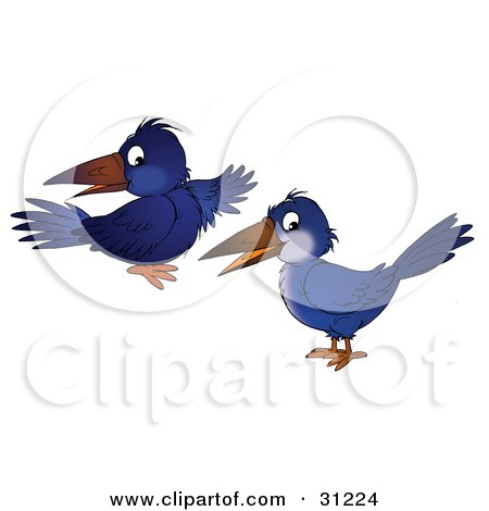 Clipart Illustration of Two Blue Crows Glancing At The Viewer by Alex Bannykh