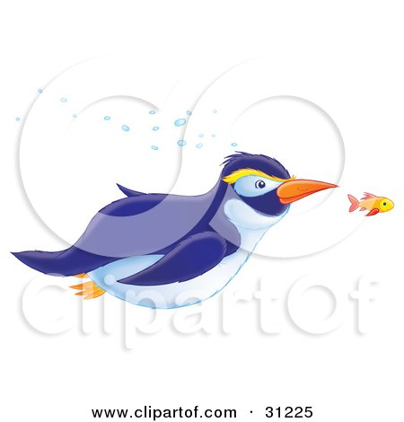 Clipart Illustration of a Blue And White Penguin With Yellow Eyebrows, Swimming Underwater With An Orange Fish by Alex Bannykh