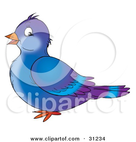 Clipart Illustration of a Cute Blue And Purple Pigeon Bird In Profile, Facing To The Left, On A White Background by Alex Bannykh