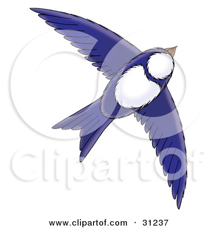 Clipart Illustration of a Blue And White Bird Flying Through The Sky, On A White Background by Alex Bannykh