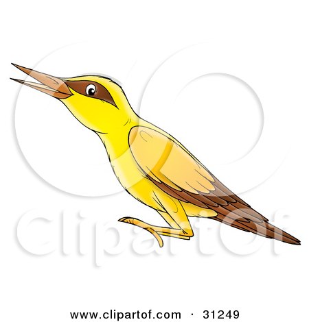 Clipart Illustration of a Yellow Bird With Brown Markings Around Its Eyes And On Its Wings by Alex Bannykh