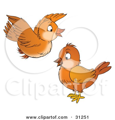 Clipart Illustration of a Cute Brown Bird Flying Above Another by Alex Bannykh
