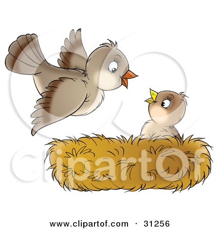 Clipart Illustration of a Cute Baby Bird In A Nest, Looking Up At Its Mother As She Arrives Home by Alex Bannykh