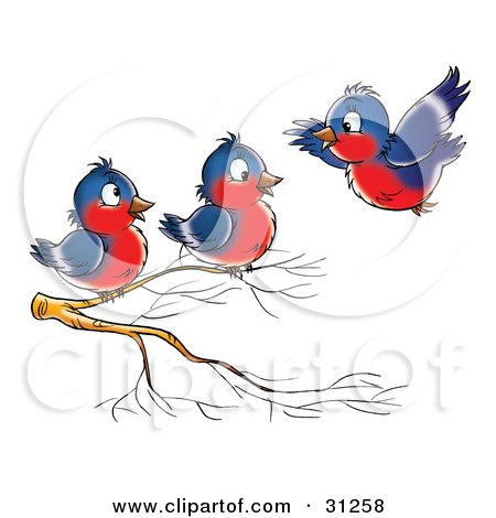 Clipart Illustration of a Blue And Red Robin Flying Towards Two Others Perched On A Branch by Alex Bannykh