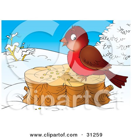 Clipart Illustration of a Cute Brown And Robin Bird Eating Seed On A Stump On A Winter Day by Alex Bannykh