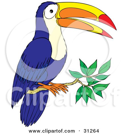 Clipart Illustration of a Blue Toucan With A Colorful Beak, Perched On A Tree Branch by Alex Bannykh
