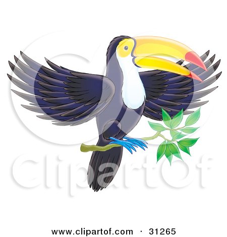 Clipart Illustration of a Dark Blue Toucan With A Yellow Face, White Belly, Blue Feet And Red And Yellow Beak, Landing On A Tree Branch by Alex Bannykh