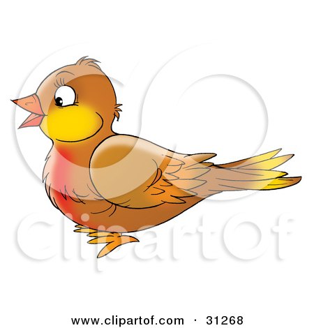 Clipart Illustration of a Cute Brown Robin Bird With A Red Chest, In Profile, Facing Left, On A White Background by Alex Bannykh