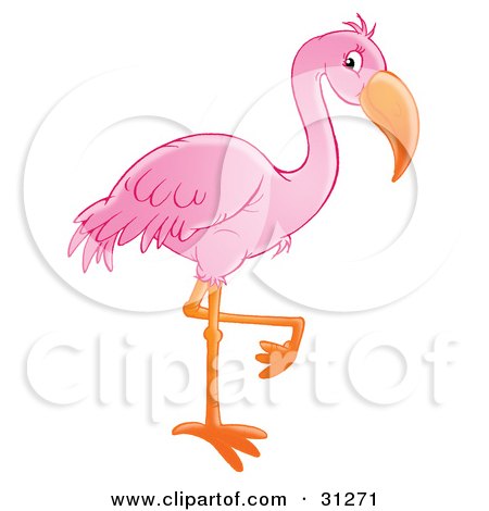Clipart Illustration of a Beautiful Pink Flamingo Standing On One Orange Leg by Alex Bannykh