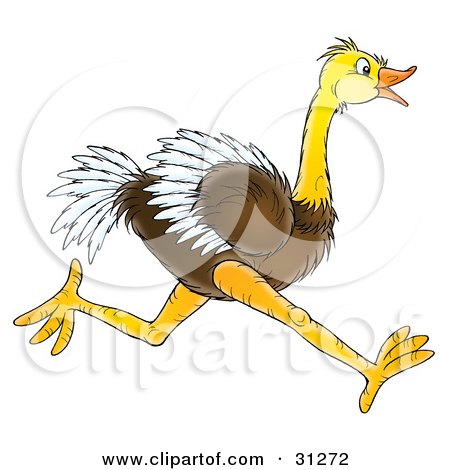 Clipart Illustration of a Fast Brown And White Ostrich Bird Running To The Right, In Profile by Alex Bannykh