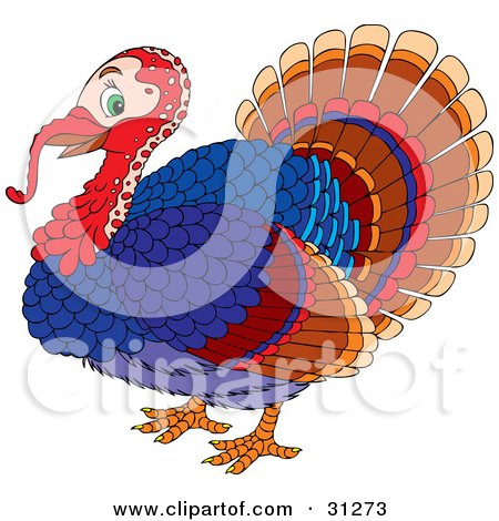 Clipart Illustration of a Colorful Male Turkey Bird With A Red Head And Long Snood by Alex Bannykh