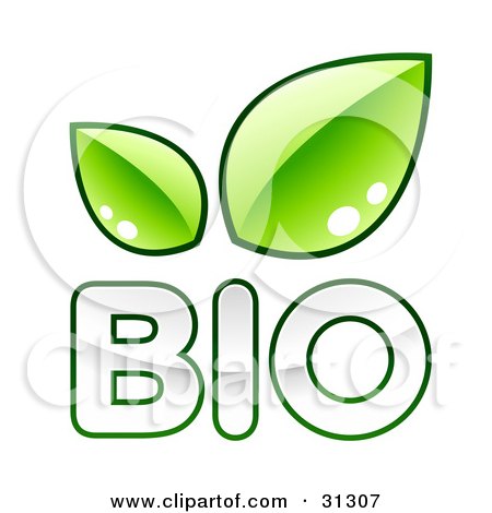 Clipart Illustration of White BIO Text Outlined In Green, With Two Leaves Above by beboy