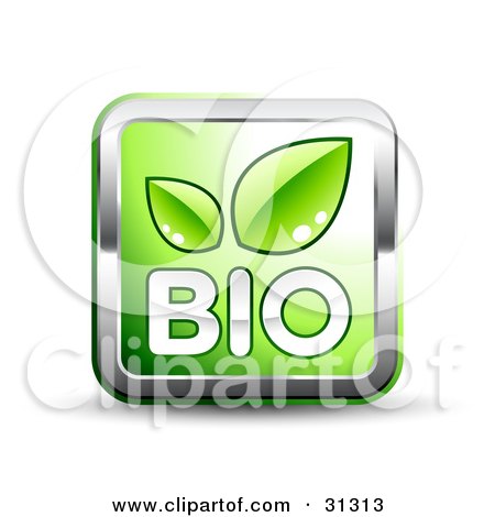 Clipart Illustration of a Green Square Website Button With Bio Text, Green Leaves And Chrome Trim by beboy
