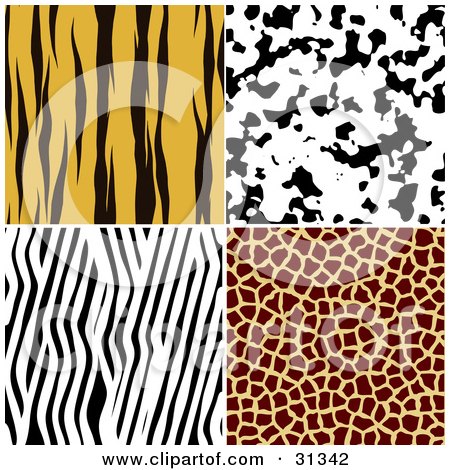 Clipart Illustration of a Set Of Four Tiger, Dalmation, Zebra And Giraffe Fur Patterned Backgrounds by KJ Pargeter