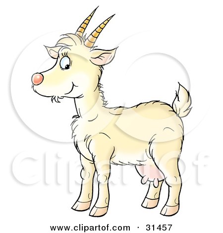 Clipart Illustration of a Yellow Goat With Udders And Horns, In Profile, Facing Left by Alex Bannykh