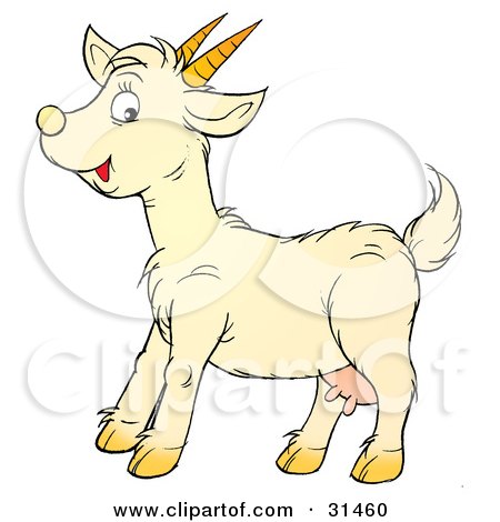Clipart Illustration of a Friendly Little Goat With Udders And Sharp Pointy Horns by Alex Bannykh