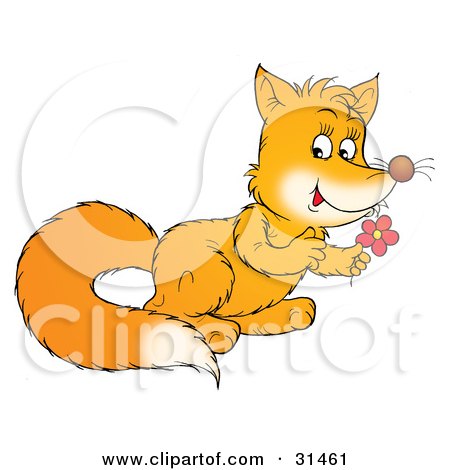 Clipart Illustration of a Cute Fox Kit Holding A Red Daisy Flower by Alex Bannykh