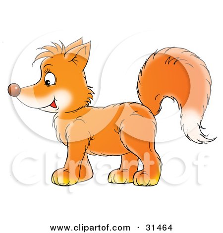 Clipart Illustration of an Adorable Orange Fox Kit In Profile, Facing Left by Alex Bannykh