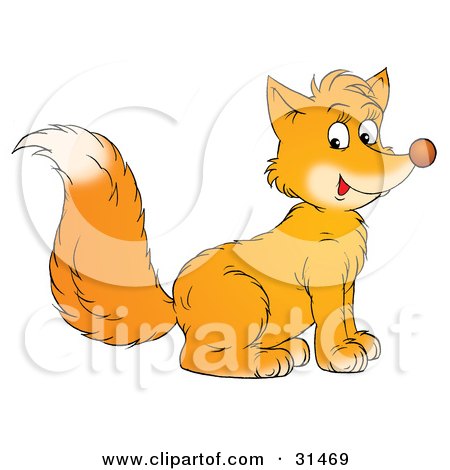 Clipart Illustration of a Cute Bushy Tailed Fox Cub Sitting And Facing To The Right, Glancing At The Viewer by Alex Bannykh