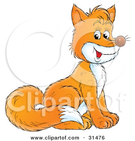 Clipart Illustration of a Friendly Orange Fox With A Bushy Tail And White Belly, Sitting by Alex Bannykh