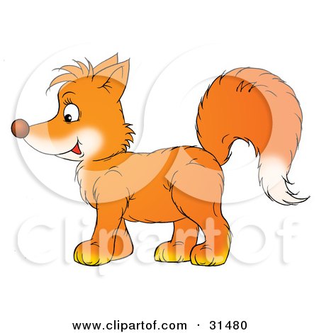 Clipart Illustration of a Bushy Tailed Orange Fox Kit In Profile, Facing To The Left by Alex Bannykh
