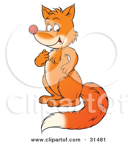 Clipart Illustration of a Bushy Tailed Fox Sitting Up On Its Hind Legs And Touching Its Chest by Alex Bannykh