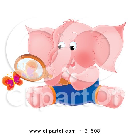Clipart Illustration of a Pink Elephant Sitting On The Ground And Watching A Butterfly Through A Magnifying Glass, On A White Background by Alex Bannykh