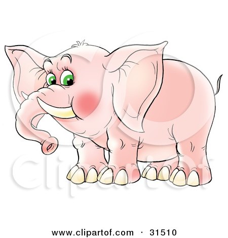 Clipart Illustration of a Chubby Pink Elephant With Tusks And Blushing Cheeks, On A White Background by Alex Bannykh