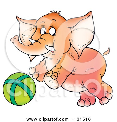 Clipart Illustration of a Playful Baby Elephant With Tusks, Chasing A Green Ball, On A White Background by Alex Bannykh