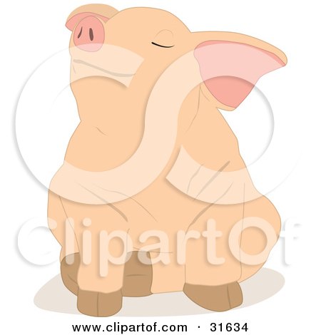 Clipart Illustration of a Cute Piglet Sitting With A Stubborn Or Pleased Expression by PlatyPlus Art
