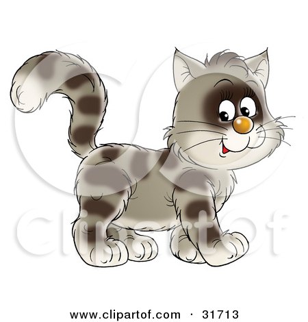 Clipart Illustration of a Brown Striped Cat Walking To The Right, Glancing At The Viewer by Alex Bannykh