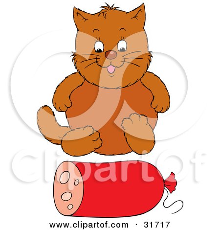 Clipart Illustration of a Chubby Brown Cat Sitting In Front Of A Roll Of Sausage by Alex Bannykh