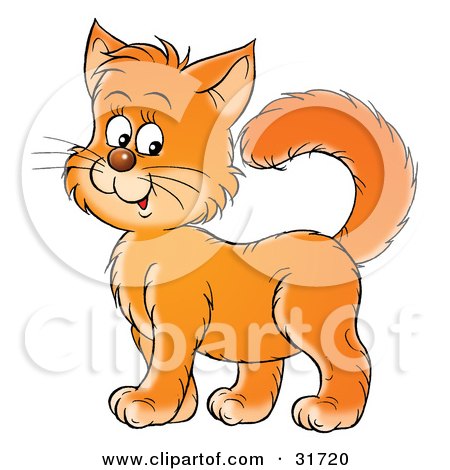 Clipart Illustration of a Friendly Orange Kitty Cat Standing Proud And Smiling by Alex Bannykh
