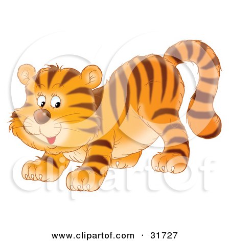 Clipart Illustration of a Playful Tiger Cub Crouching Down On His Front Legs, Glancing Back by Alex Bannykh