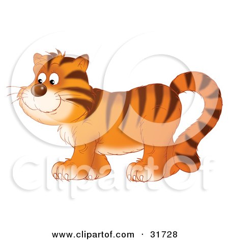 Clipart Illustration of a Happy Tiger In Profile, Walking To The Left by Alex Bannykh