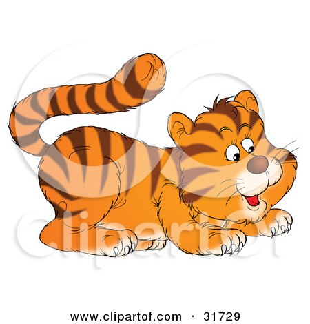 Clipart Illustration of a Cute Frisky Tiger Cub Playfully Crouching by Alex Bannykh