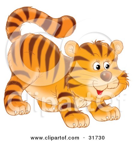 Clipart Illustration of a Frisky Tiger Cub Swishing His Tail And Crouching Low On His Front Legs While Stalking Something by Alex Bannykh