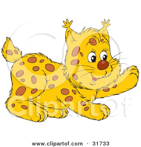 Clipart Illustration of a Playful Spotted Bobcat Lifting One Paw by Alex Bannykh