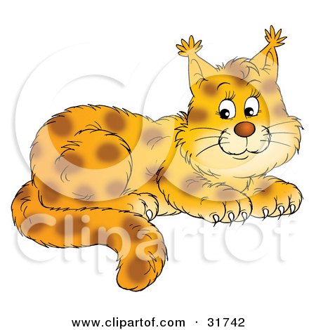 Clipart Illustration of an Adorable Spotted Lynx Cub With Tufts At The Tips Of The Ears by Alex Bannykh