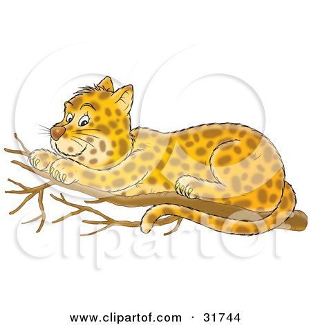 Clipart Illustration of a Cute Spotted Leopard Resting On A Tree Branch by Alex Bannykh