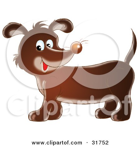 Clipart Illustration of a Cute Dachshund Dog With Whiskers On His Nose, Smiling At The Viewer by Alex Bannykh