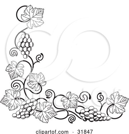 Clipart Illustration of a Grape Vine With Bunches Of Grapes And Leaves Curling Along A Bottom Left Corner Edge by AtStockIllustration