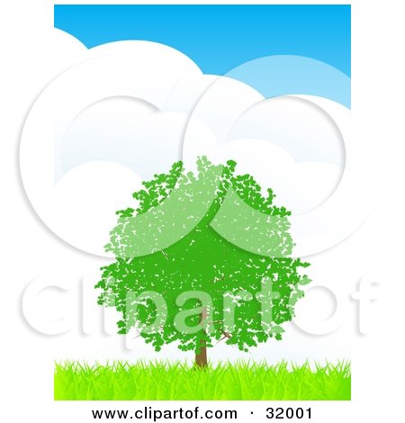 Clipart Illustration of a Lush Green Tree With Foliage, In A Flat Landscape Of Green Grass Against A Blue Sky With Large Puffy Clouds by elaineitalia