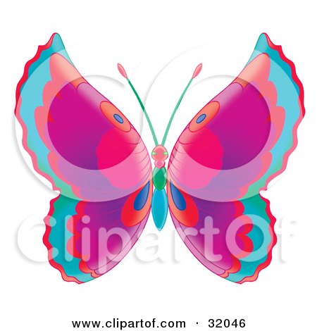 Clipart Illustration of a Butterfly With Blue, Red, Purple And Pink Wings And A Red, Green And Blue Body by Alex Bannykh