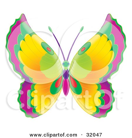 Clipart Illustration of a Butterfly With Purple, Green, Red And Yellow Wings And A Green, Pink And Purple Body by Alex Bannykh