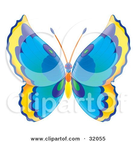 Clipart Illustration of a Butterfly With Yellow, Blue And Green Wings And A Blue, Orange And Yellow Body by Alex Bannykh