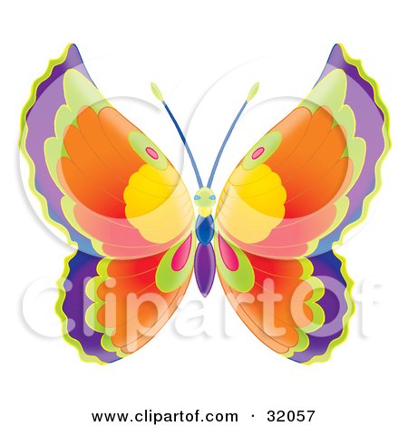 Clipart Illustration of a Butterfly With Purple, Green, Orange, Yellow And Pink Wings And A Green, Blue And Purple Body by Alex Bannykh