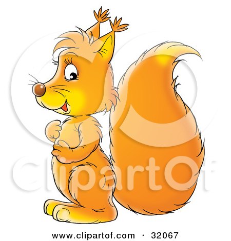 Clipart Illustration of an Orange Squirrel Rubbing Its Belly, Facing Left And Glancing At The Viewer by Alex Bannykh